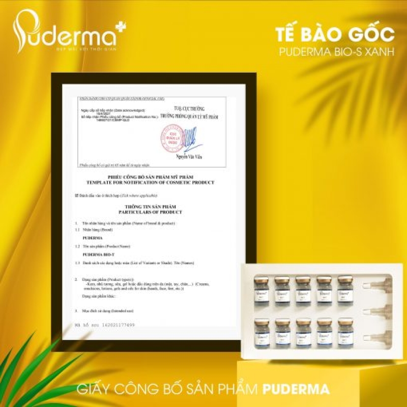 Tế bào gốc puderma BIO-T xanh