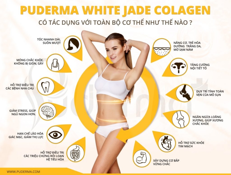 Collagen vảy cá puderma white jade collagen